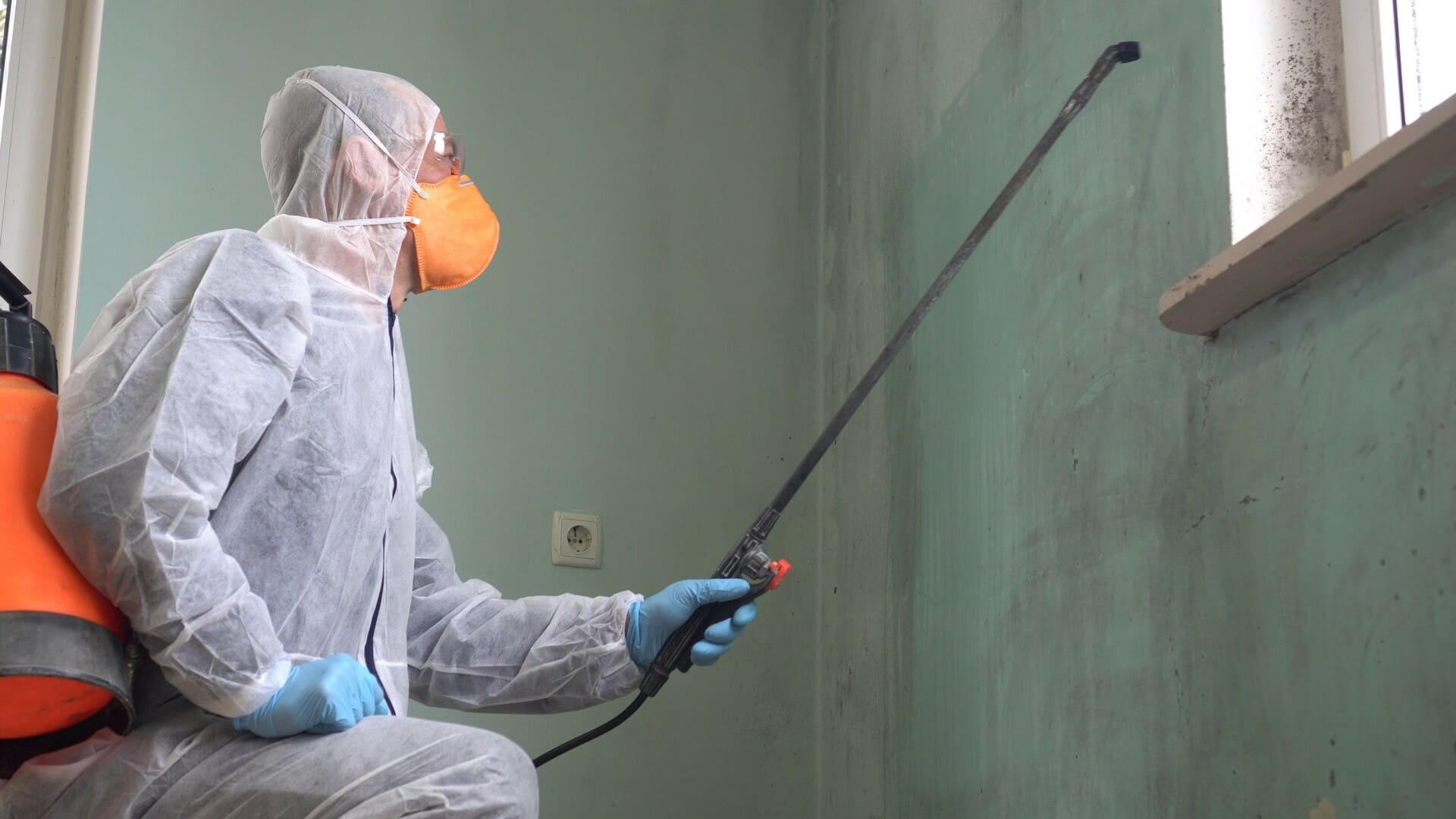 Mold Cleaning