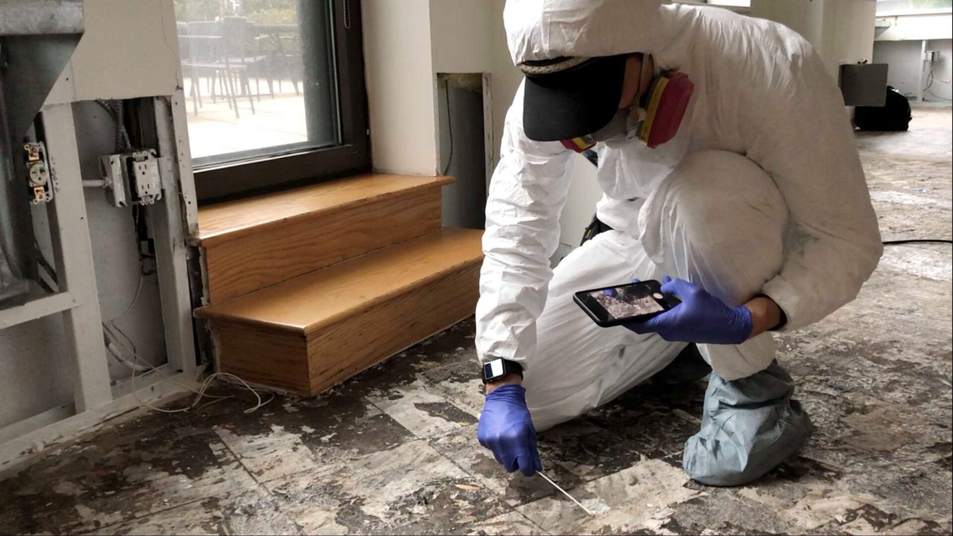 Mold Remediation