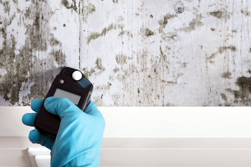 mold detection